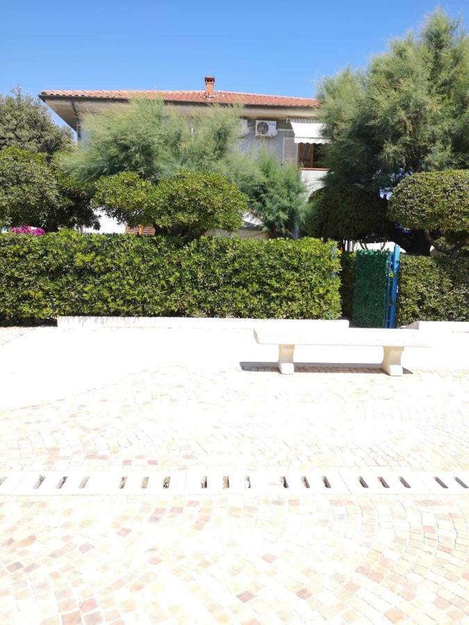 Apartament Giardino Sul Mare Casa Casoni Numana Zewnętrze zdjęcie